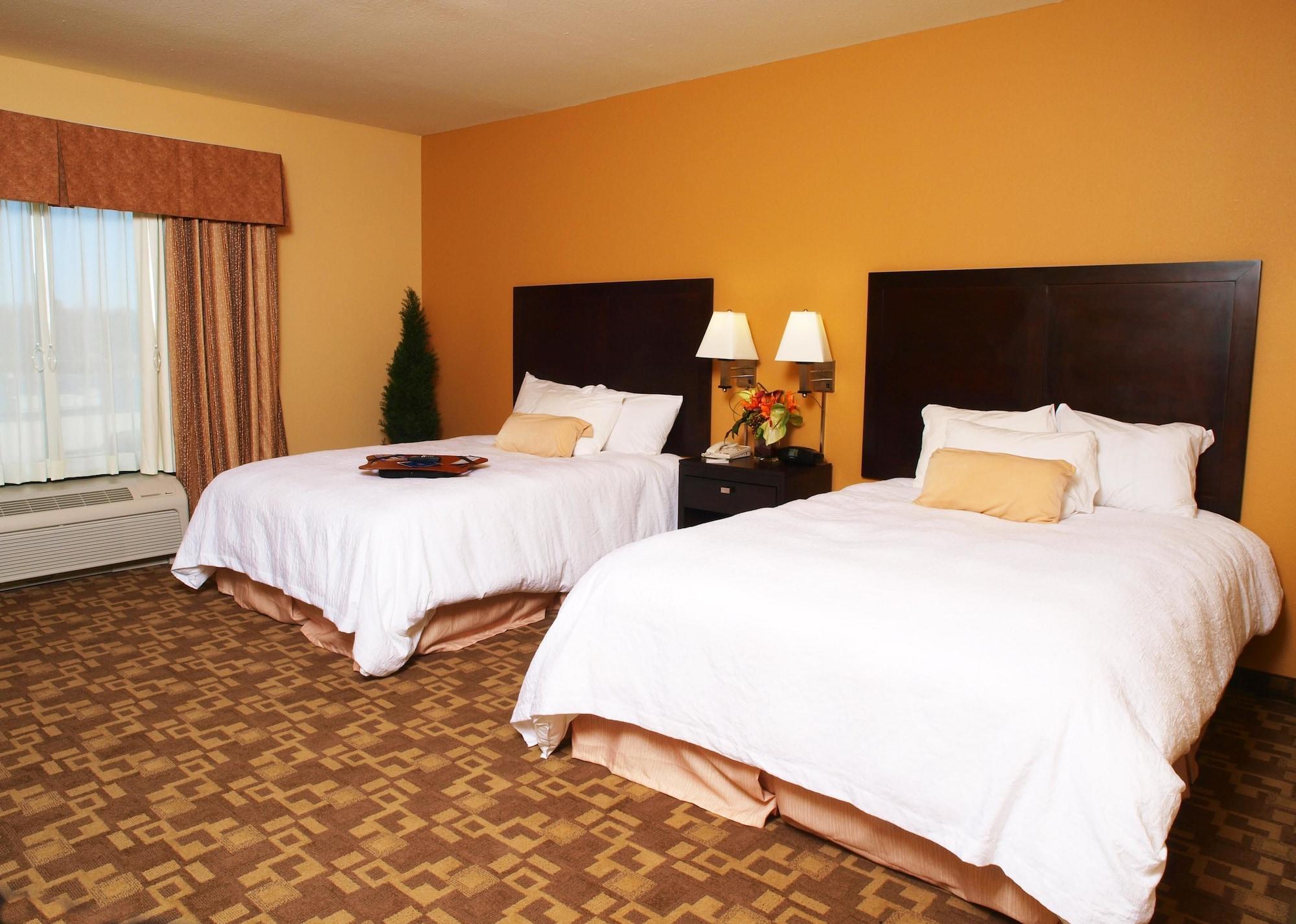 Hampton Inn & Suites-Knoxville/North I-75 Rum bild