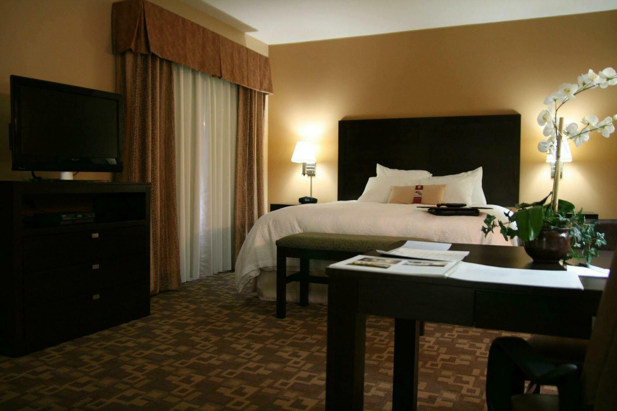 Hampton Inn & Suites-Knoxville/North I-75 Rum bild